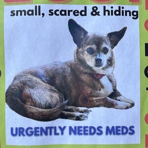 Meet your Posher, Thomas